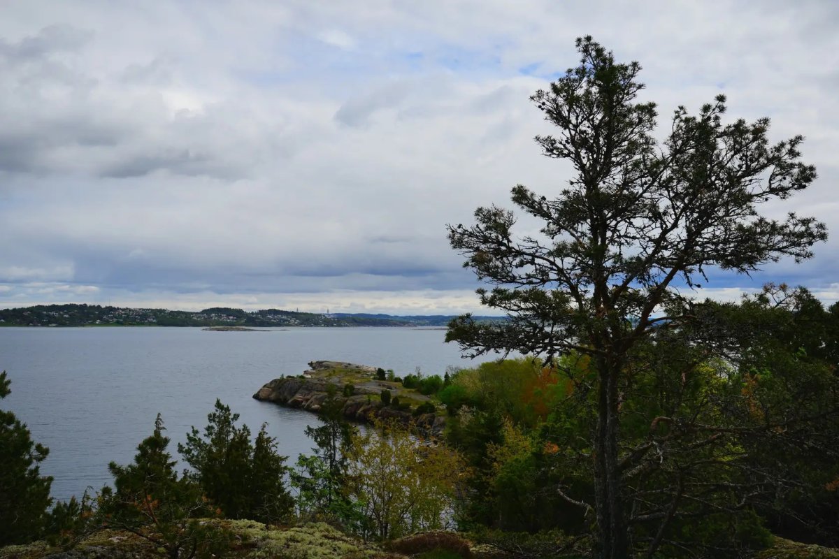 Am Fiord