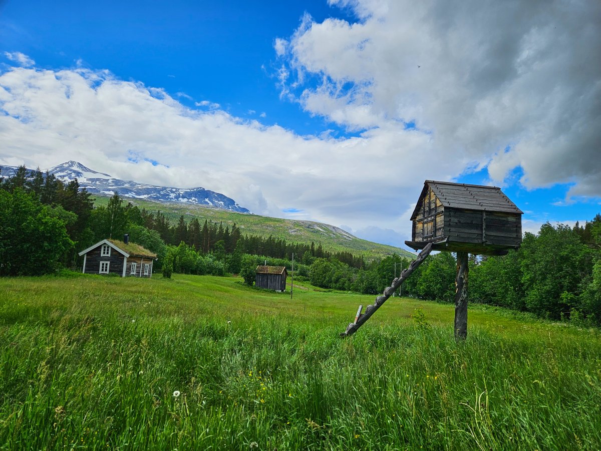 Nordland Nasjonalparksenter Aussenbereich