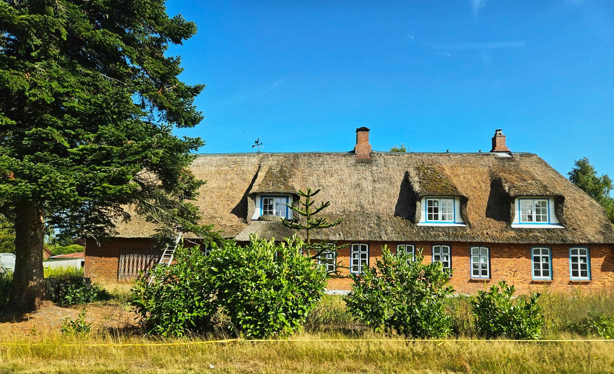 Haus mit Reetdach