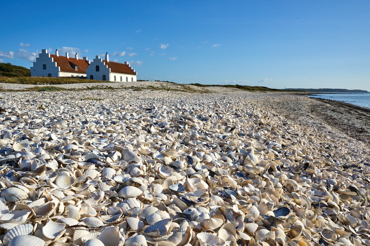 Skandinavien Reise 24.08. bis 30.08.2026