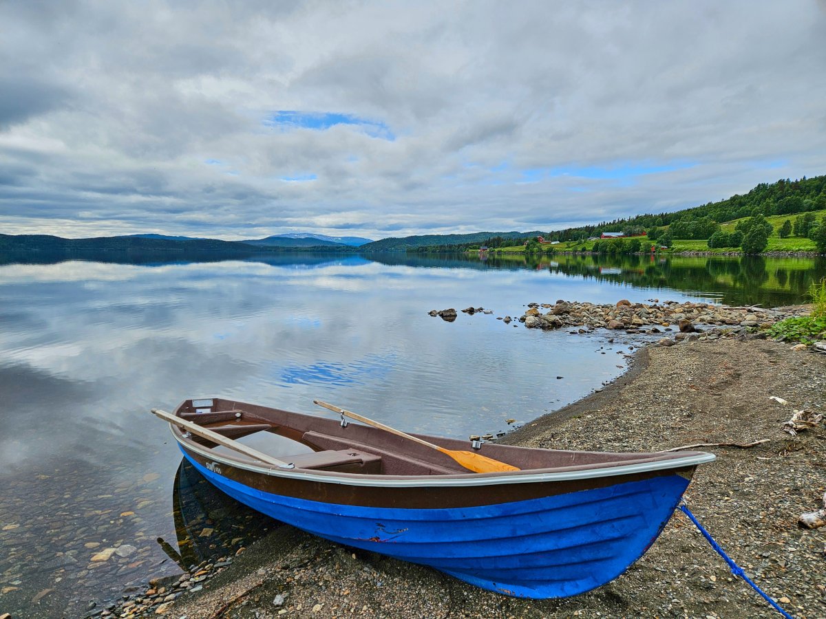 Am See