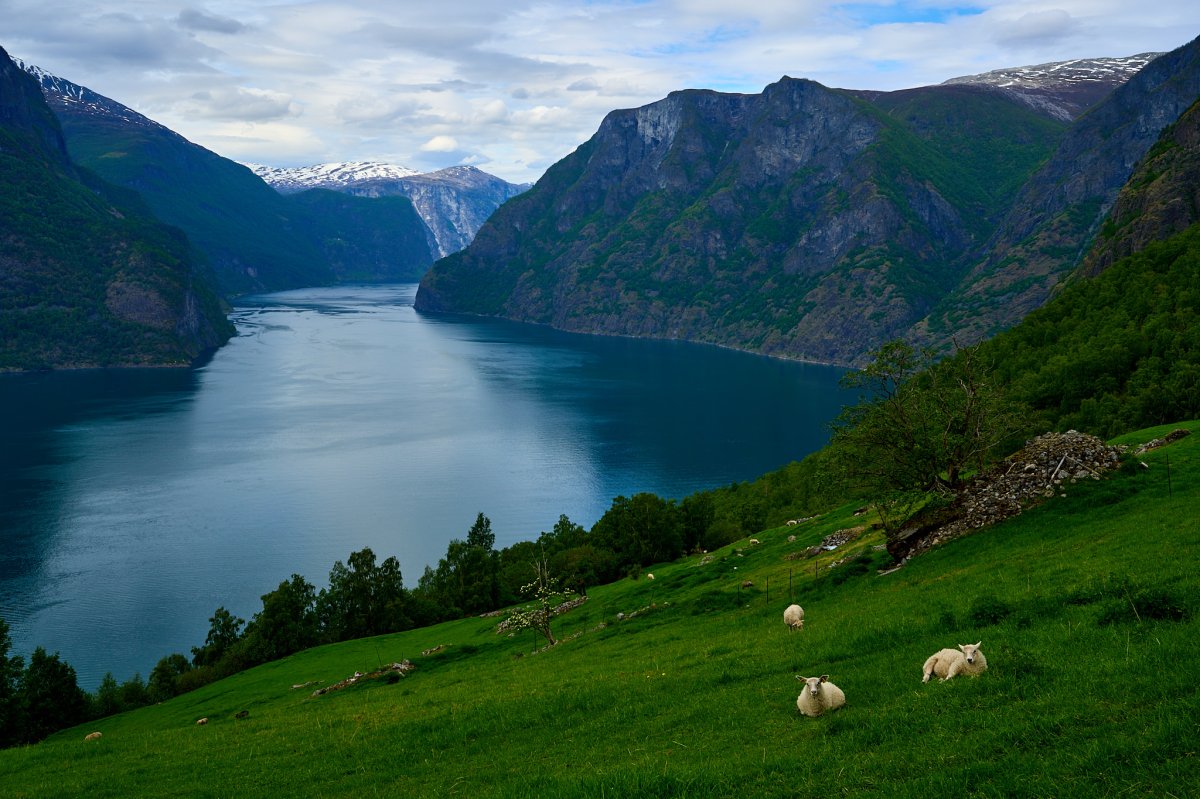 Aurlandsfjord